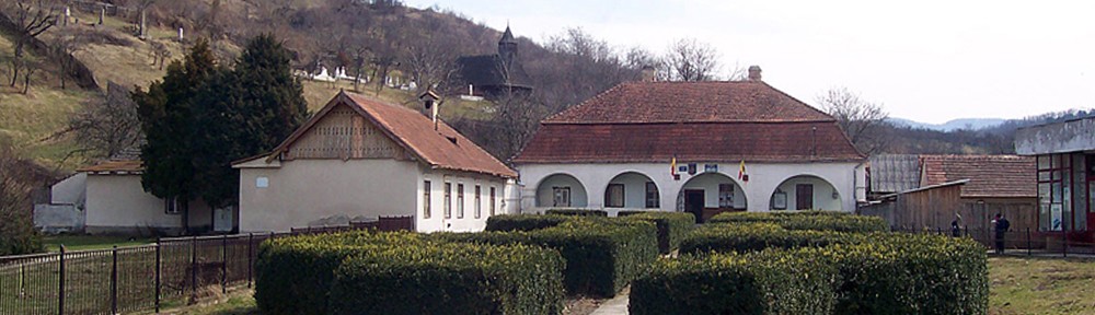 salistea