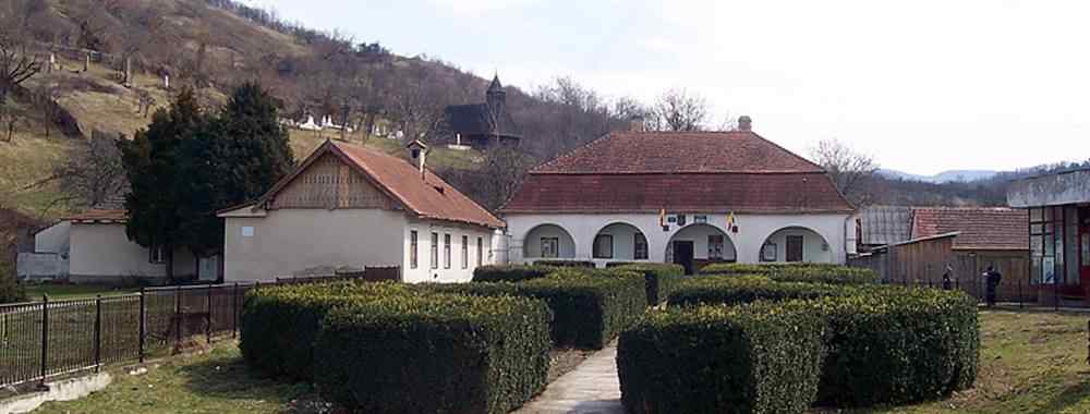 primarie