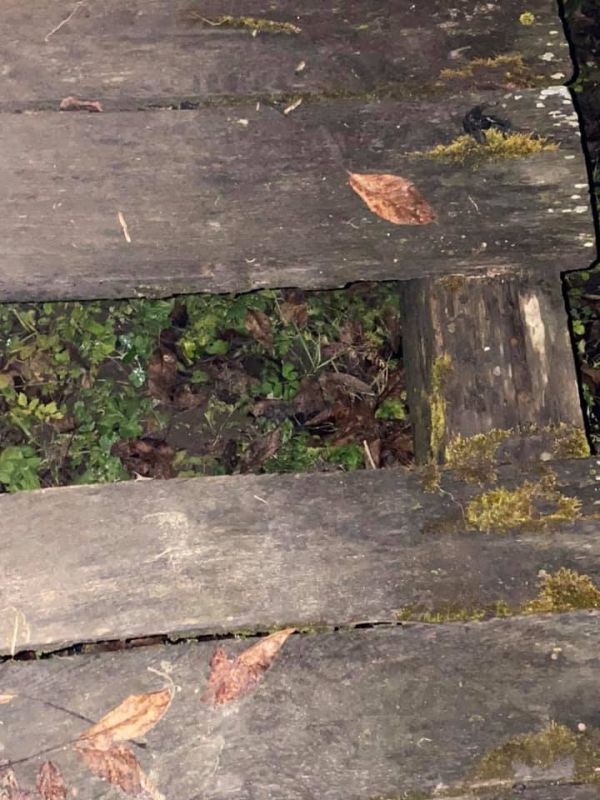 Prin Gârbova de Sus, ca la țară… (foto)