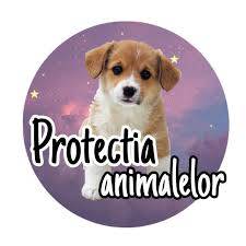 prot