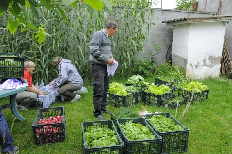 agricoli
