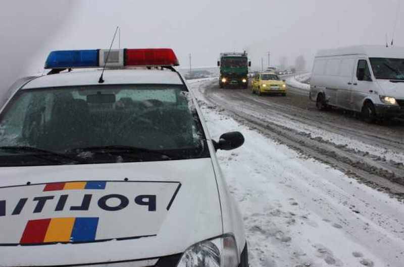 iarna
