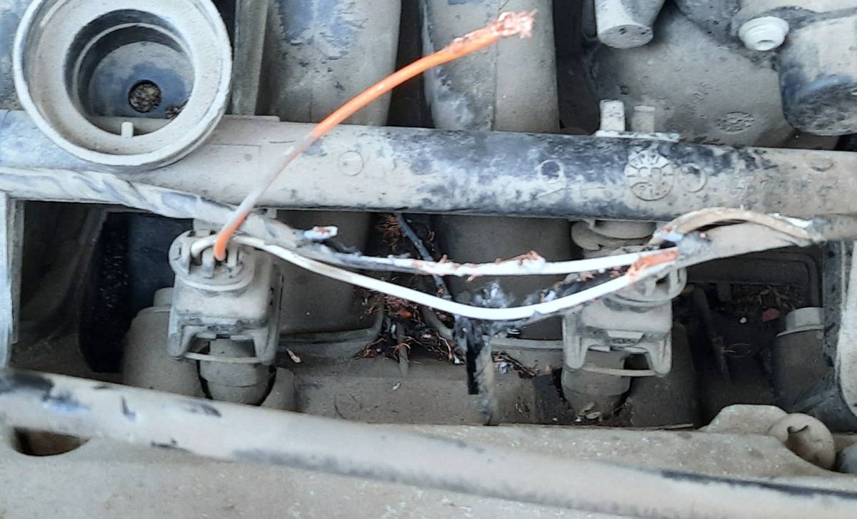 În Aiud șobolanii distrug mașinile parcate în fața blocului!