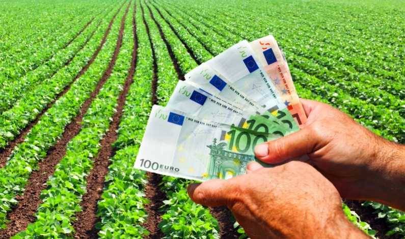 euro