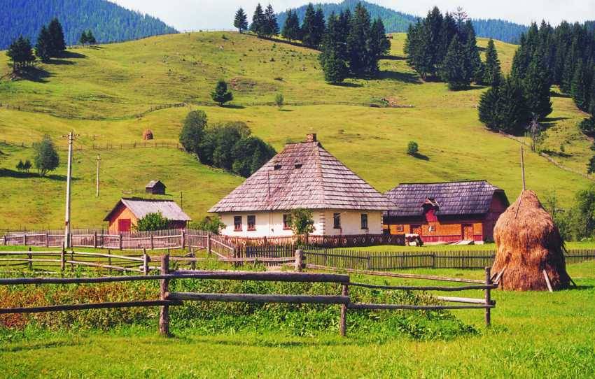 rural