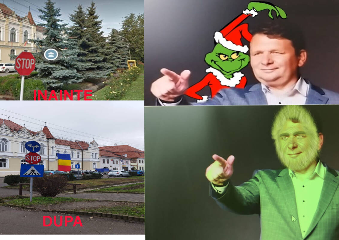 Grinch-ul de Sebeș bântuie prin oraș! A tăiat brazii argintii din fața primăriei!!!