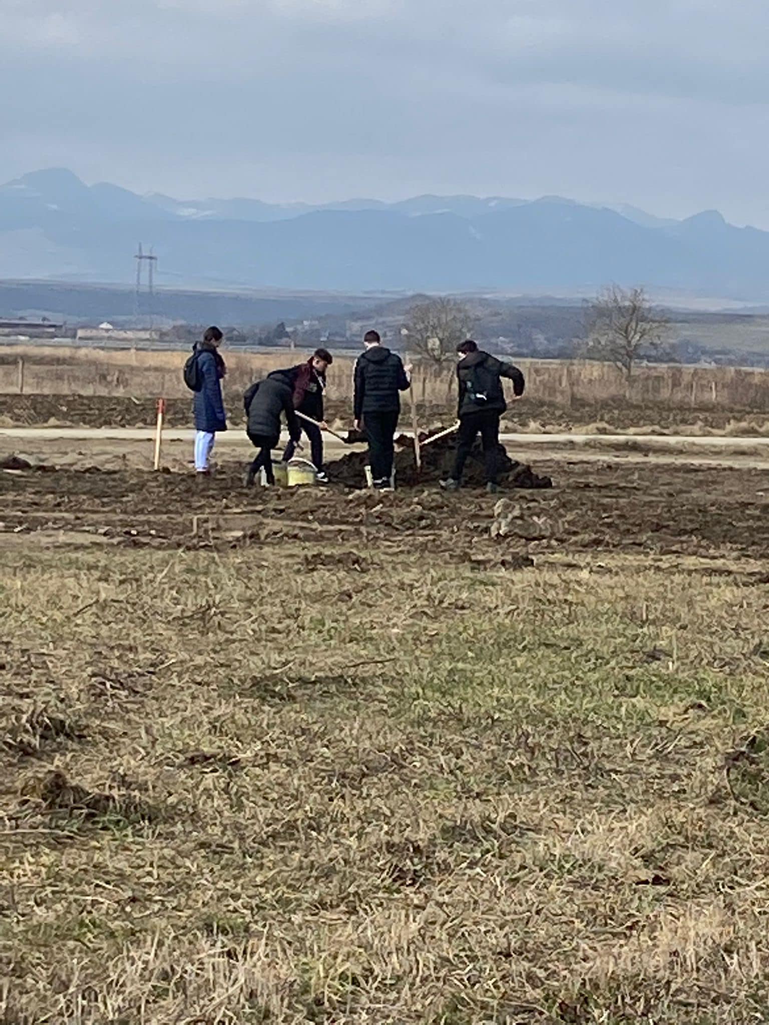 Săptămâna Verde la Teiuș: Peste 50 de tei plantați în zona de picnic de lângă Mureș