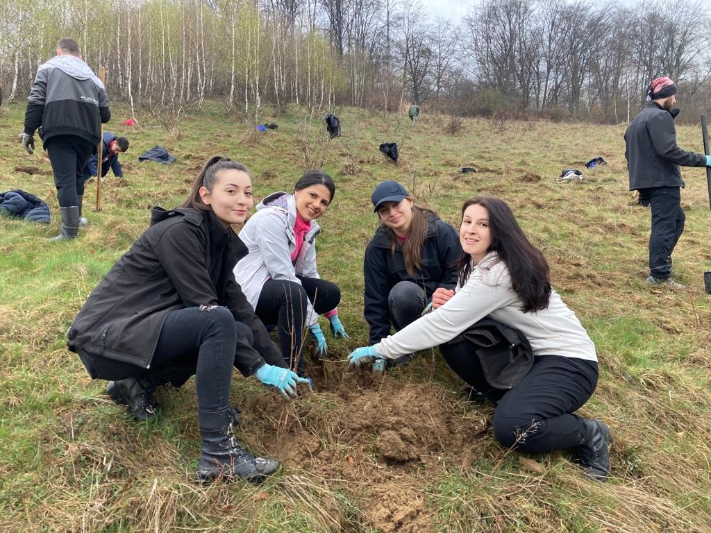 Împreună plantăm, activitate ecologică a celui mai puternic investitor german din județul Alba
