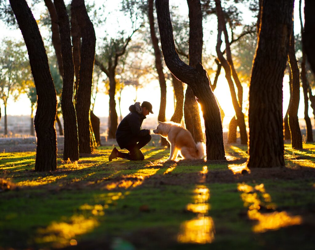 Parc