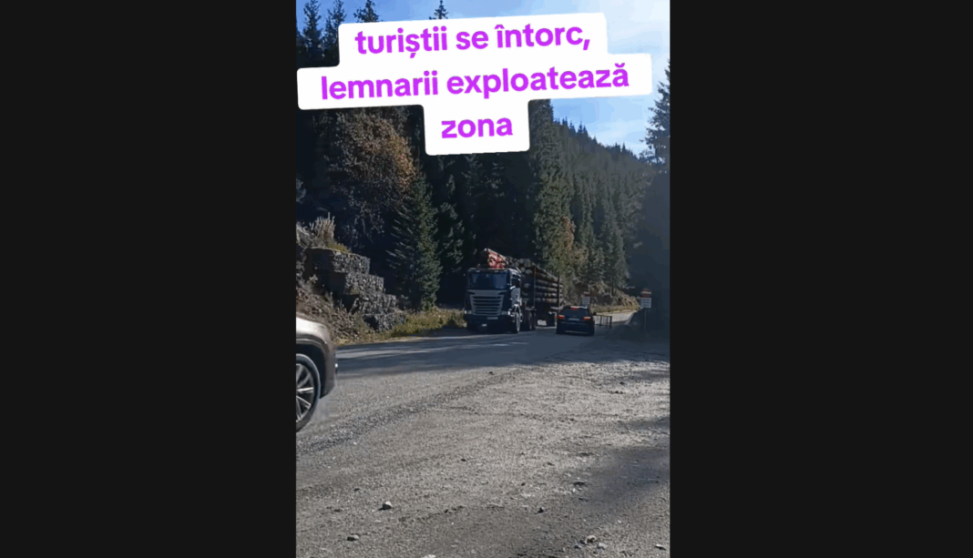 ANCHETĂ: CNAIR invocă „iarna” care nu a existat, „ninsori abundente” inexistente și prelungește blocada Transalpinei. Răspunsul oficial contrazice realitatea din teren și reacțiile locale