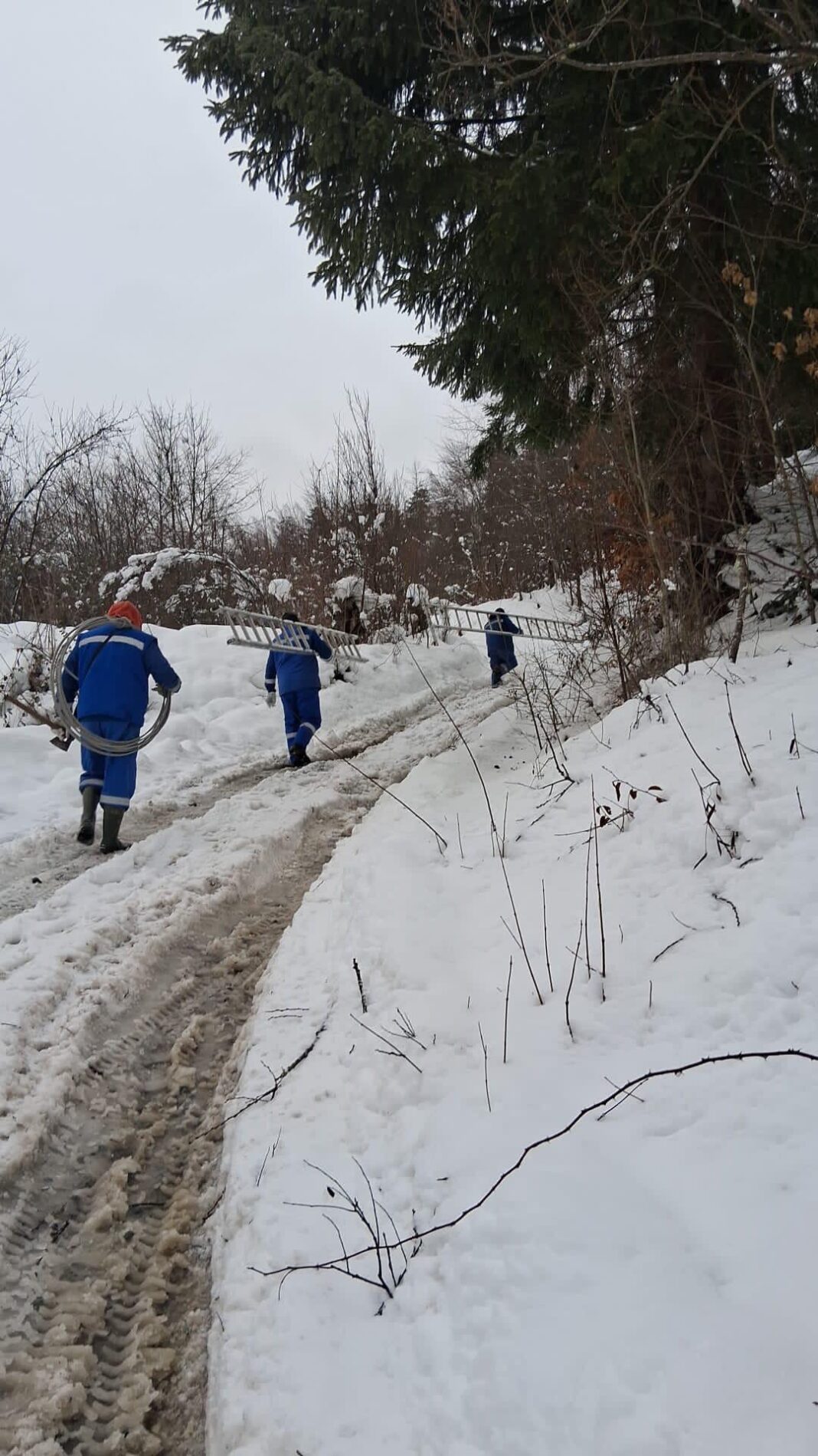 Peste 250 locuitori din Munții Apuseni fără curent electric, în urma Codului Galben de ninsori. Echipele Electrica, intervin pentru remedierea defecțiunilor