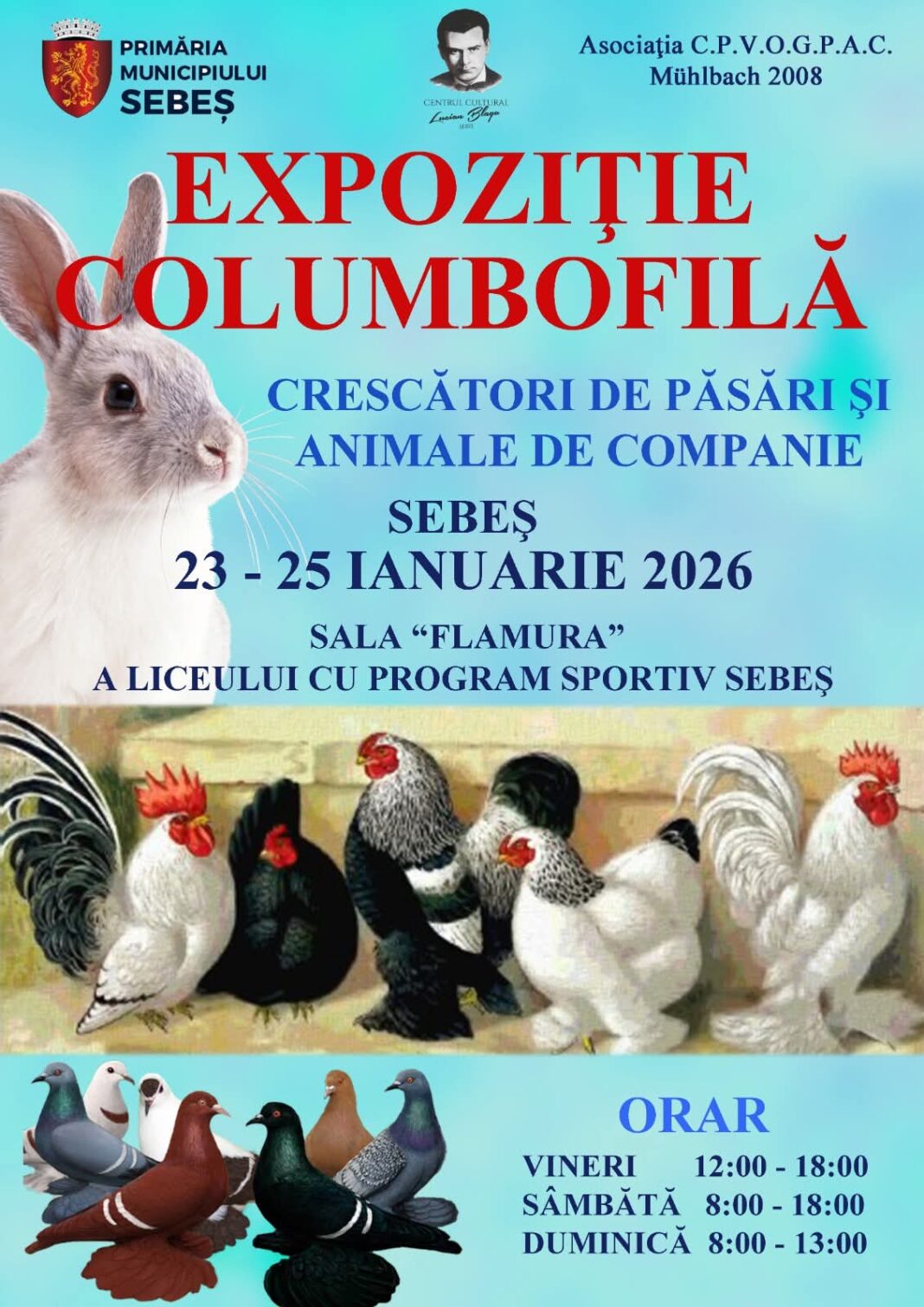 23 – 25 ianuarie: Expoziție columbofilă în Sala „Flamura” din Sebeș. Expun peste 80 de crescători
