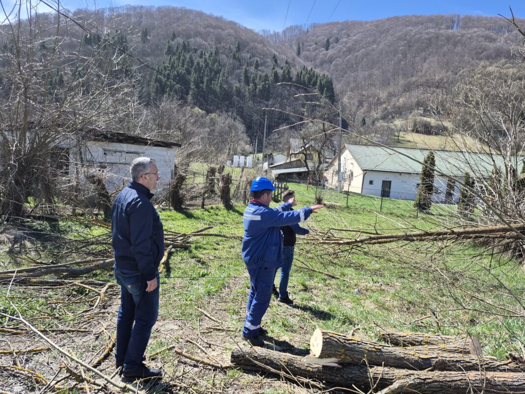 Continuă activitățile de întreținere și toaletare a culoarelor de siguranță, aferente liniilor electrice din județul Alba