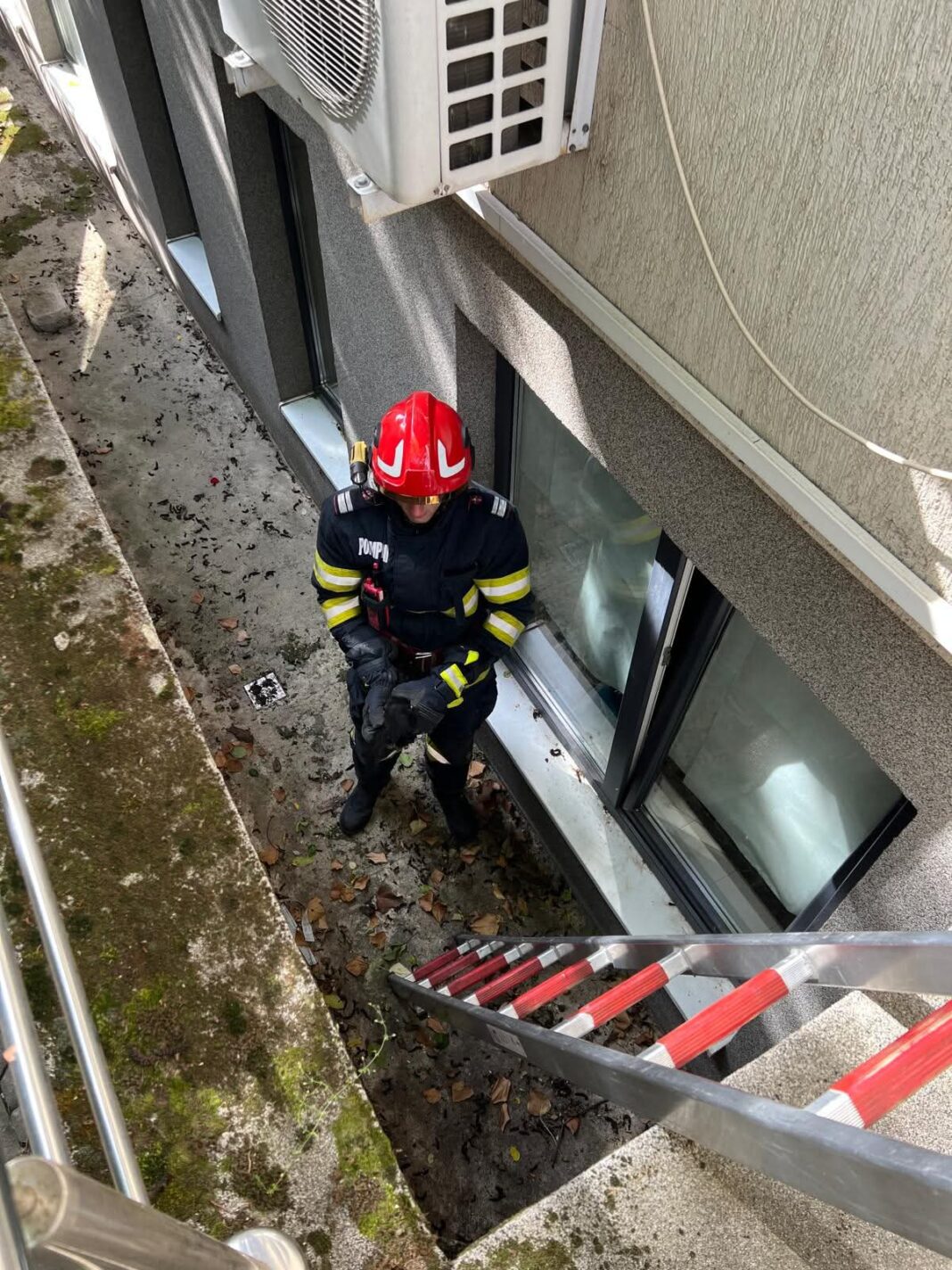 Pui de pisică salvat de pompierii din Alba
