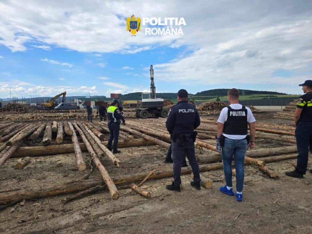 Percheziții în Alba și Sibiu, într-un dosar de criminalitate informatică legat de sistemul pădurilor. Un bărbat din Șugag, reținut
