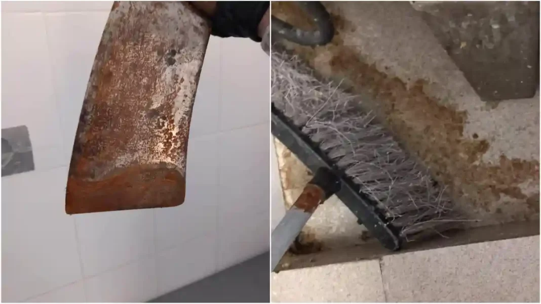 13-19 iulie 2026 | Peste 1 milion de lei în amenzi și 15 afaceri suspendate temporar pe litoral după inspecții: Ce nereguli au fost descoperite