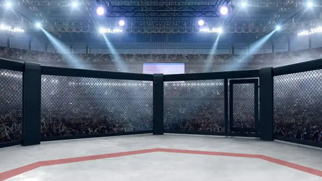 30.000 de abonați și milioane nedeclarate: Cum a fost prejudiciat statul cu 26 de milioane de lei prin schema MMA