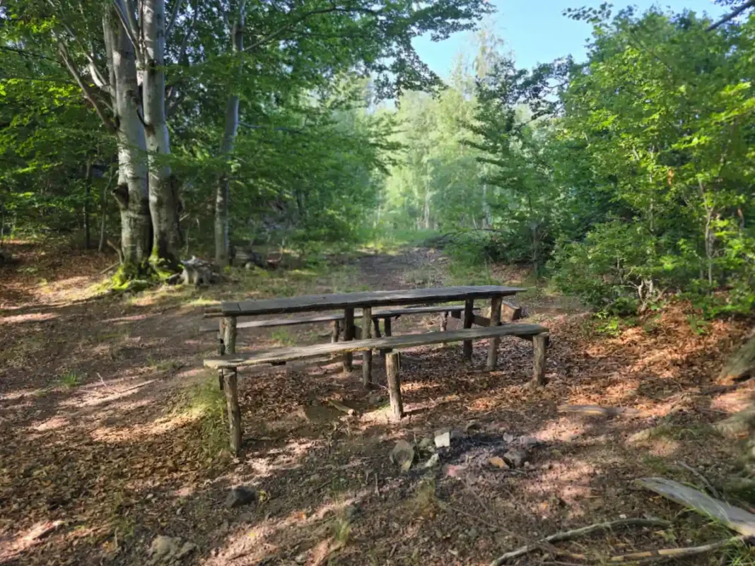 31 Iulie | Sărbătoarea Globală a Rangerilor: Apărătorii de Frunte ai Biodiversității