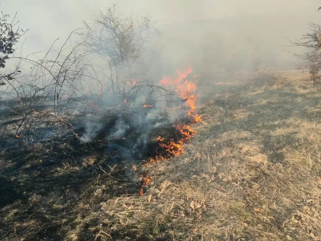 Actualizare | Incendiu în Lopadea Nouă: Vegetație uscată în flăcări pe 6.000 de metri pătrați