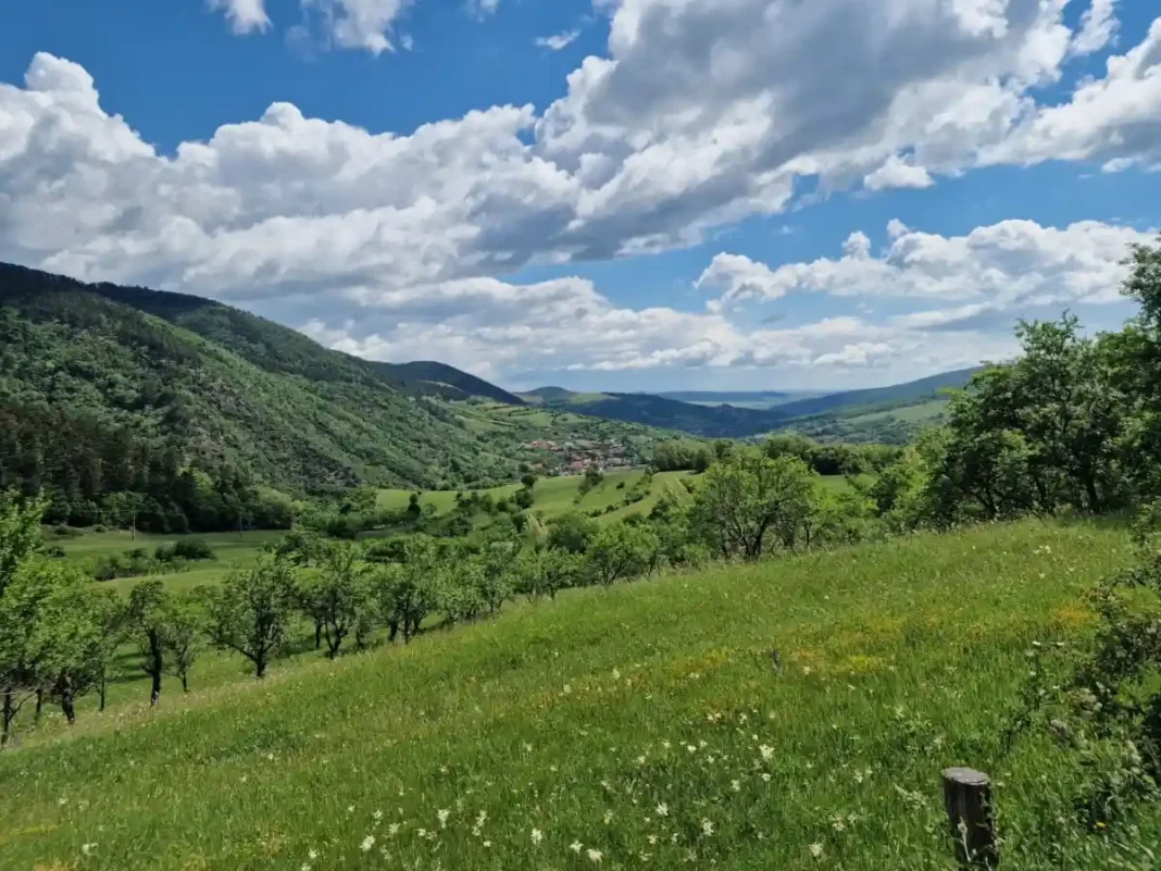 Previziuni meteo pentru Transilvania până pe 2 august 2026: Scădere termică la mijlocul săptămânii, urmată de revenirea temperaturilor peste 30 de grade