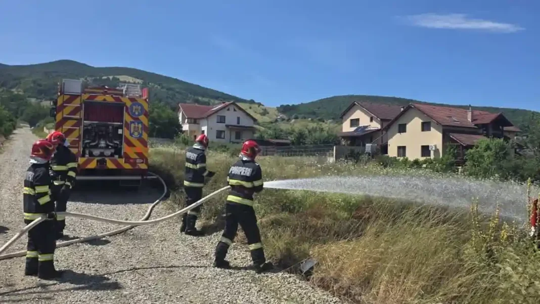 Reformulare: Incendiu în Alba Iulia: Vegetația uscată a ars pe o suprafață de circa 100 mp în Micești