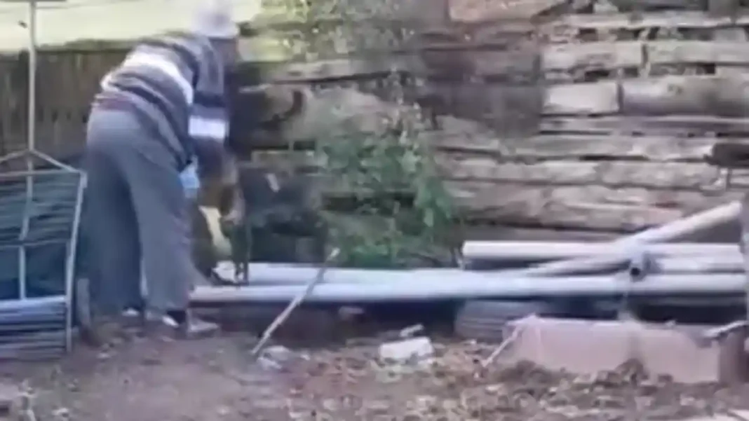 VIDEO | Act de cruzime în Alba: Un bătrân a omorât o pisică și i-a aruncat trupul peste gard