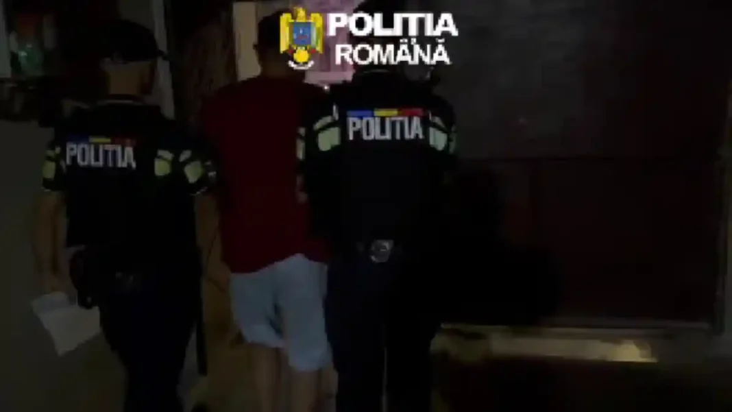 VIDEO | Un bărbat din Unirea, arestat după ce vacile sale ar fi devastat culturi agricole în Mirăslău: Pagubă de 2.500 de lei