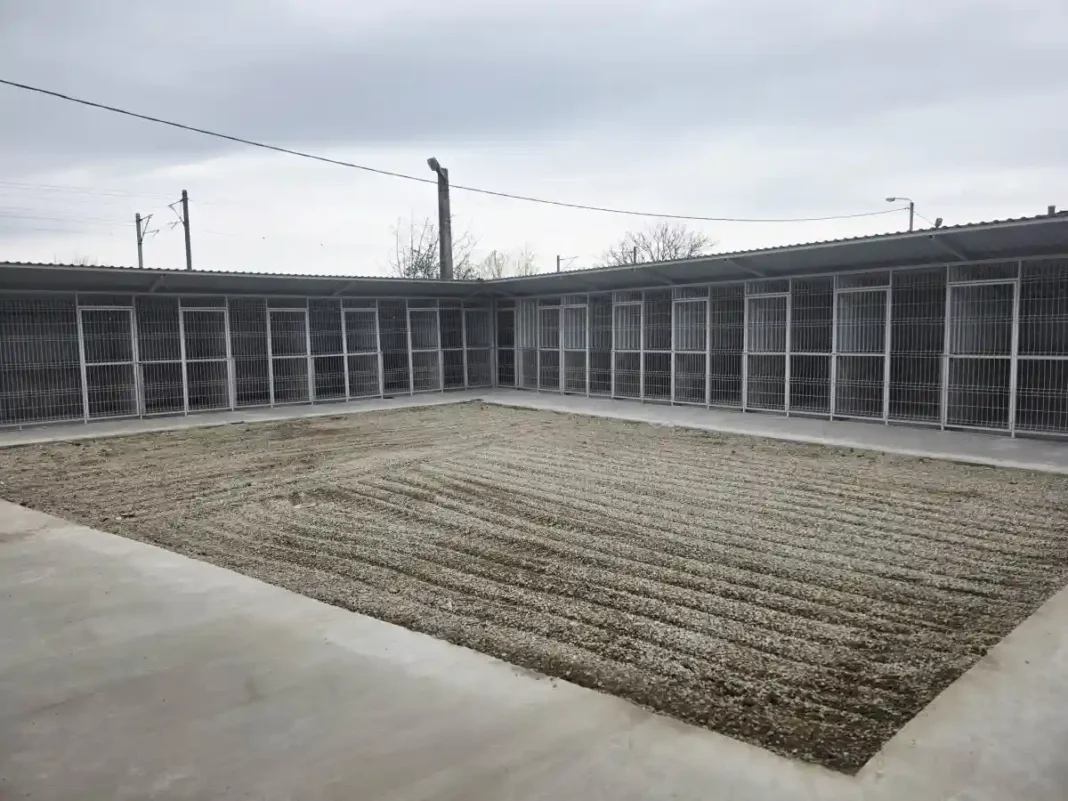 30 de țarcuri modernizate și hrană donată lunar: ONG-urile îmbunătățesc condițiile câinilor din adăpostul public din Alba Iulia