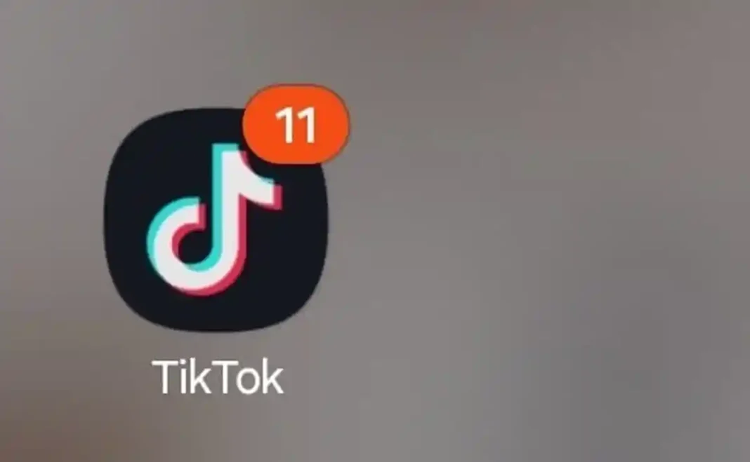Bărbat sancționat cu 1.000 de lei pentru injurii aduse polițiștilor locali pe TikTok