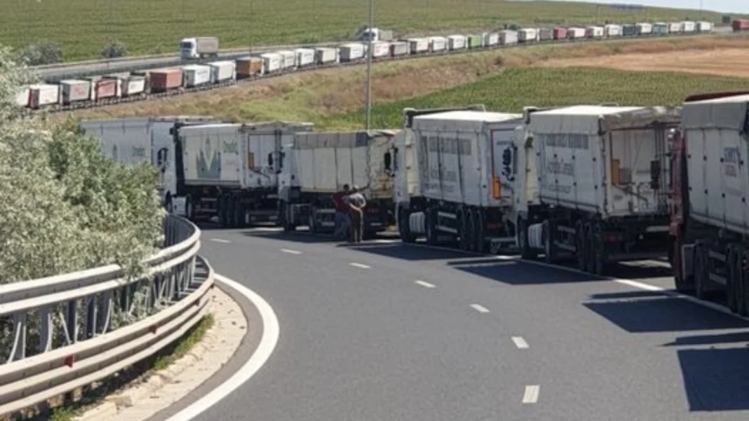Capacitățile Portului Constanța, aproape de limită: 11,6 milioane de tone de produse agricole riscă să nu fie exportate