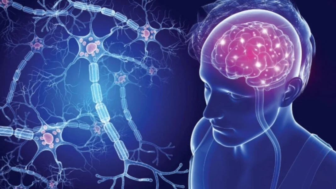 Descoperirea mecanismului de distrugere a neuronilor vii de către microglie în SLA