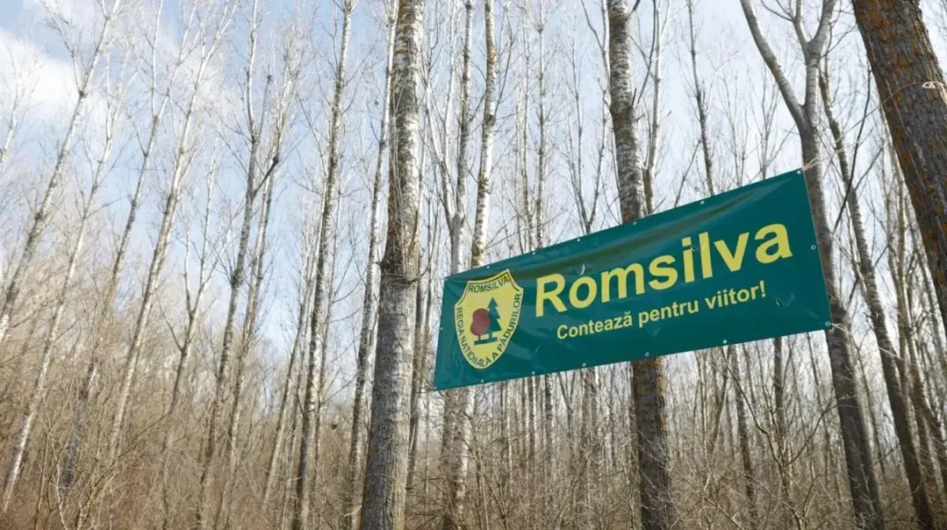 Diana Buzoianu convoacă de urgență conducerea Romsilva la minister: Motivul deciziei