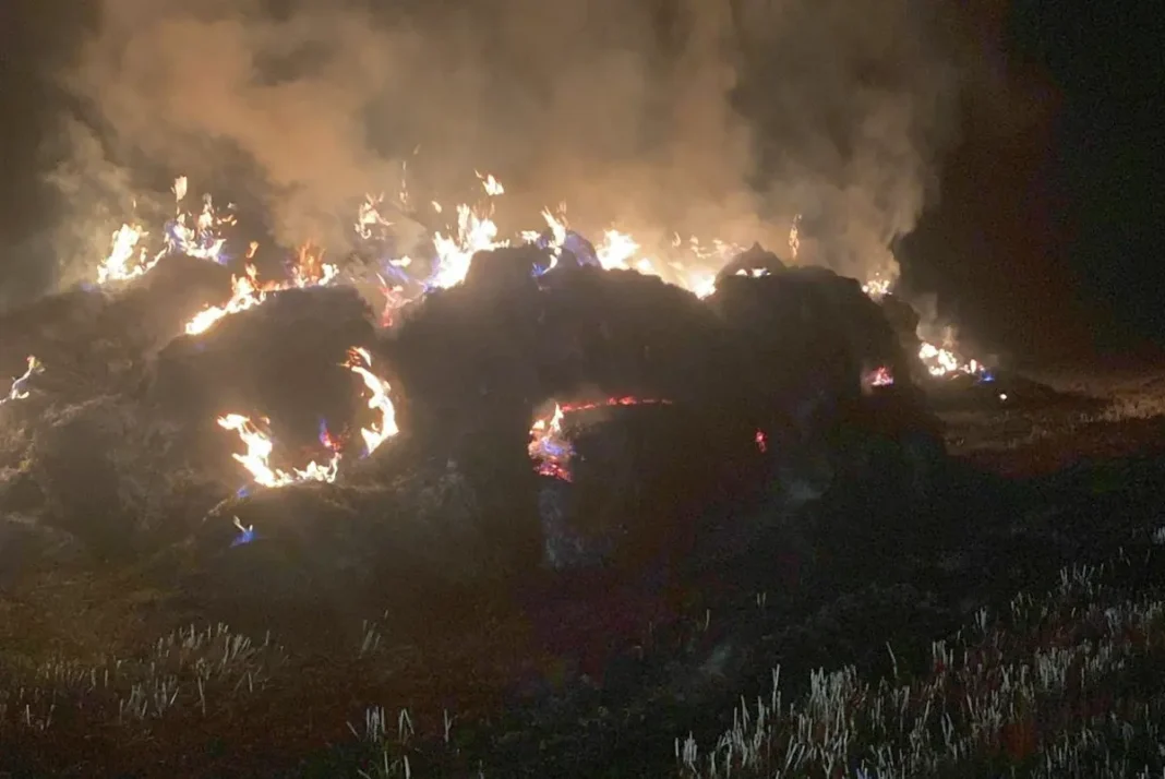 Flăcări Mistuitoare în Bucerdea Grânoasă: Baloți de Paie cuprinsi de Incendiu