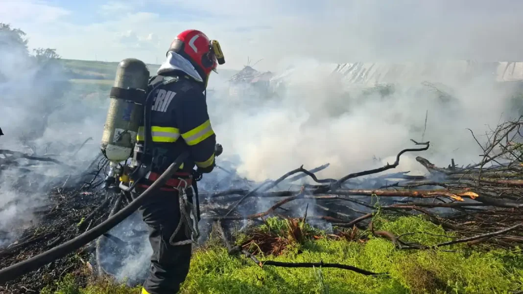 Intervenție a pompierilor la un incendiu de vegetație pe strada Luncii din Sebeș