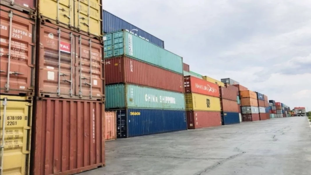 Piața europeană a uleiului de rapiță în ascensiune cu 70%: Importurile de materii prime scad semnificativ