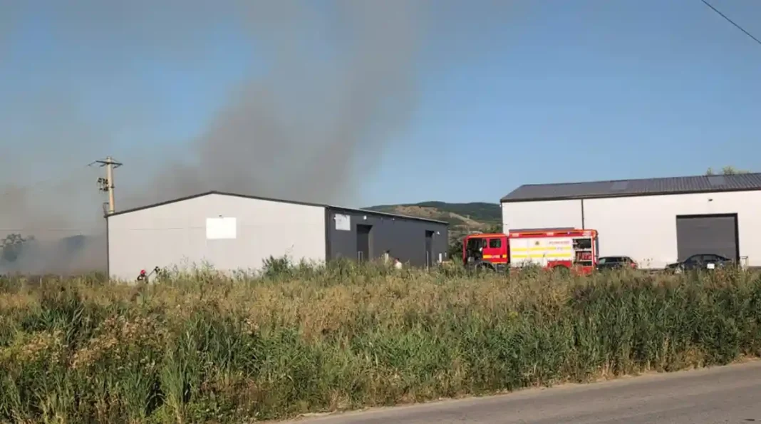 VIDEO | Pompierii din Alba Iulia intervin la un incendiu de vegetație uscată în Drâmbar
