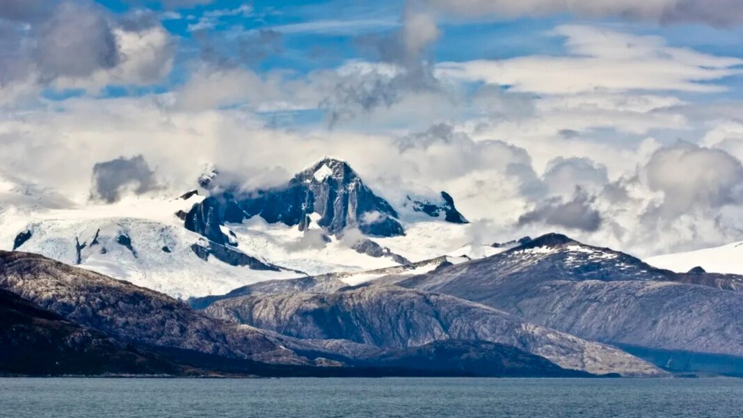 Bacterie suspectată în moartea puilor de balenă în Patagonia