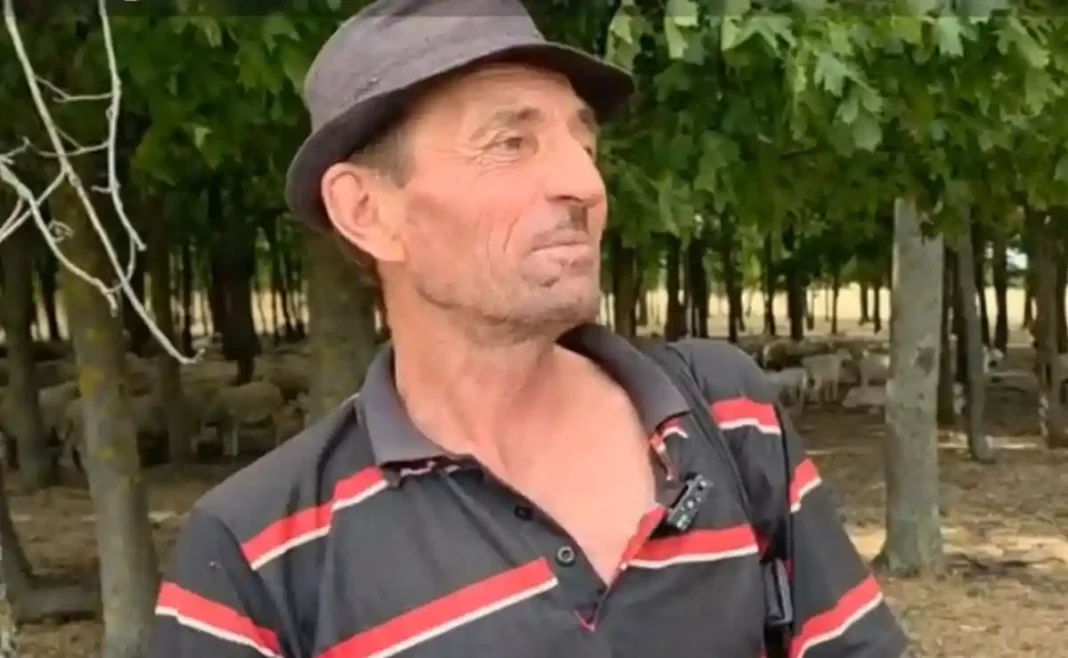 Cioban din Vaslui găsește o dronă avariată la 30 km de granița cu Republica Moldova: „Nu mai văzusem așa ceva. Țiuia și becurile se aprindeau. Am deconectat firele și s-a oprit”