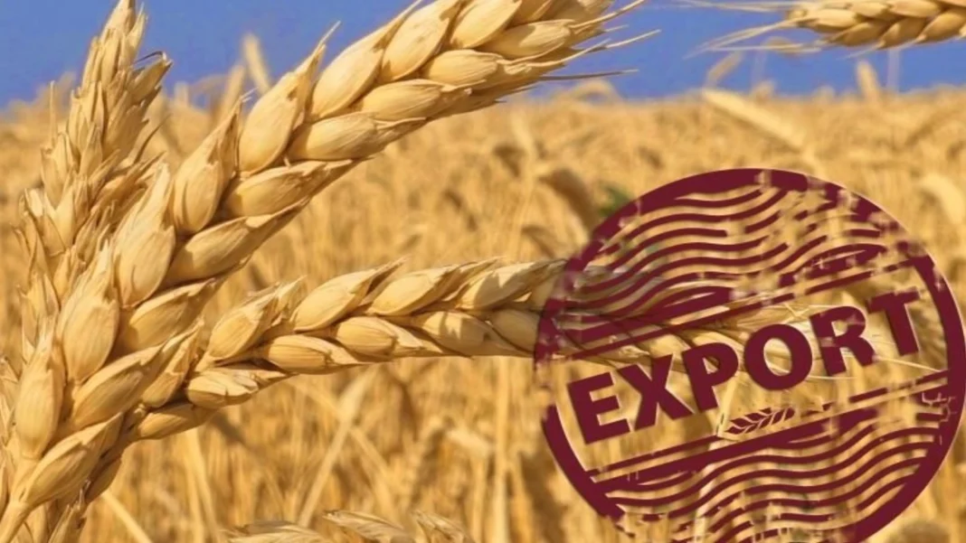 Exporturile de grâu ale Rusiei, afectate de conflictele din Marea Neagră