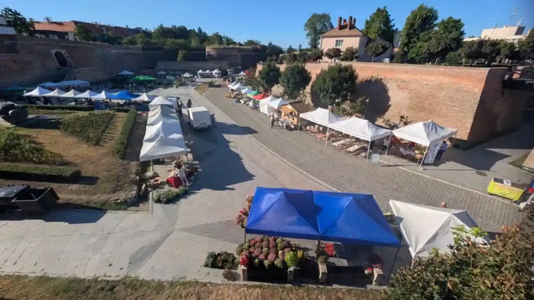 Festivalul Toamnei 2026 la Alba Iulia: Un weekend dedicat roadelor, producătorilor locali și tradițiilor din Alba