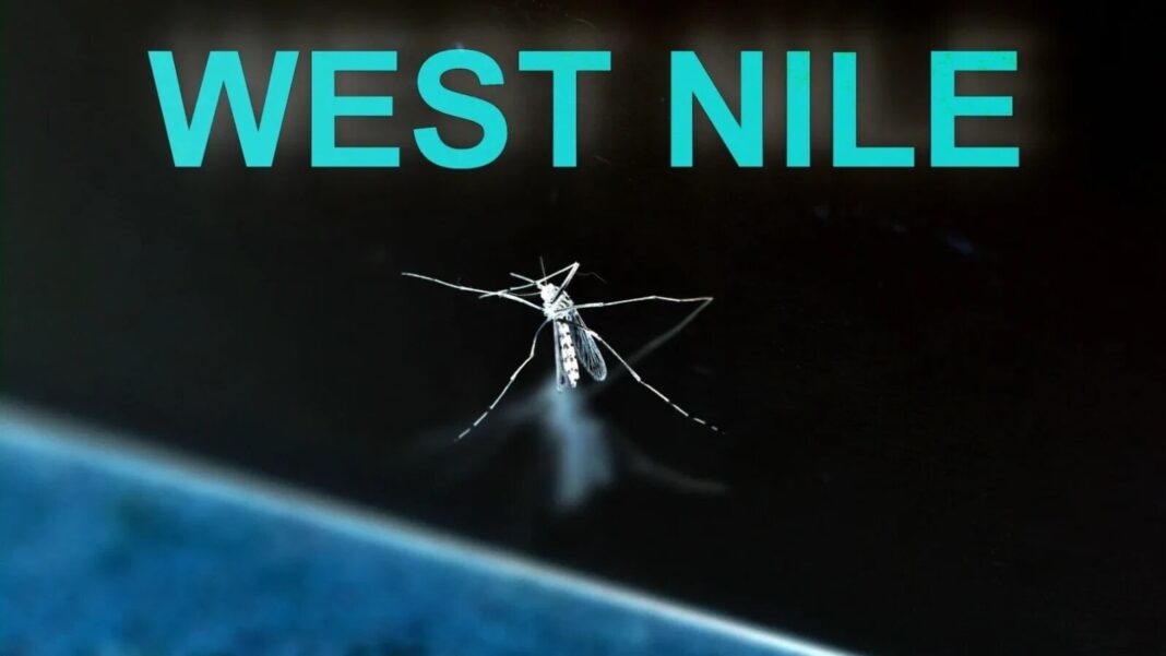 Grecia, presată să îmbunătățească sistemul de avertizare pentru virusul West Nile
