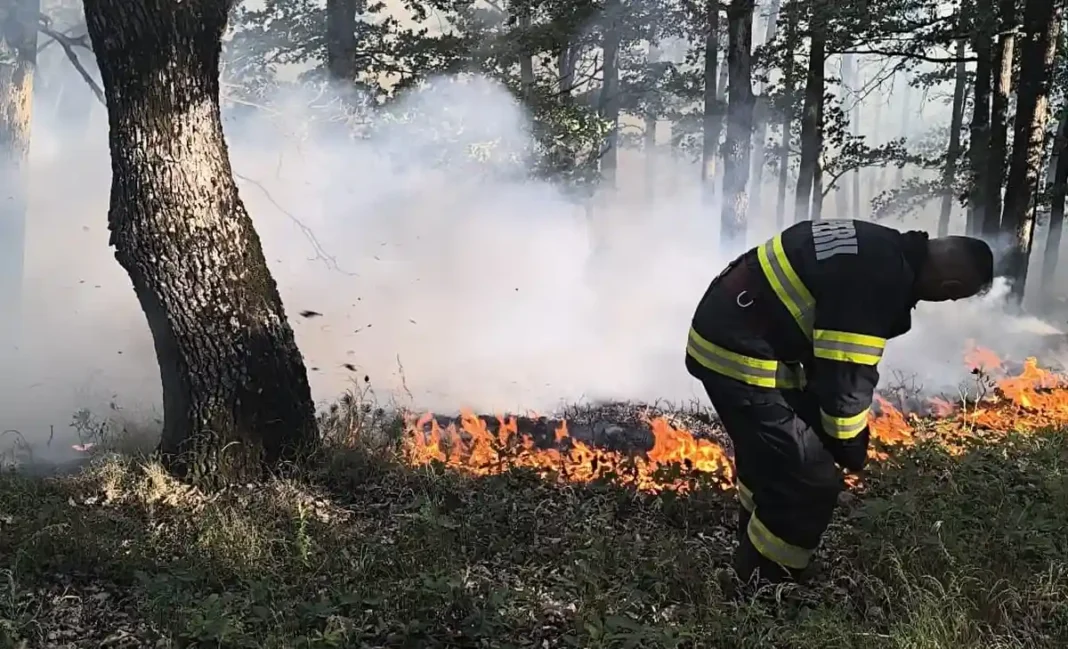Incendiu în Șugag: Flăcări mistuind litiera de pădure din zona Curmături