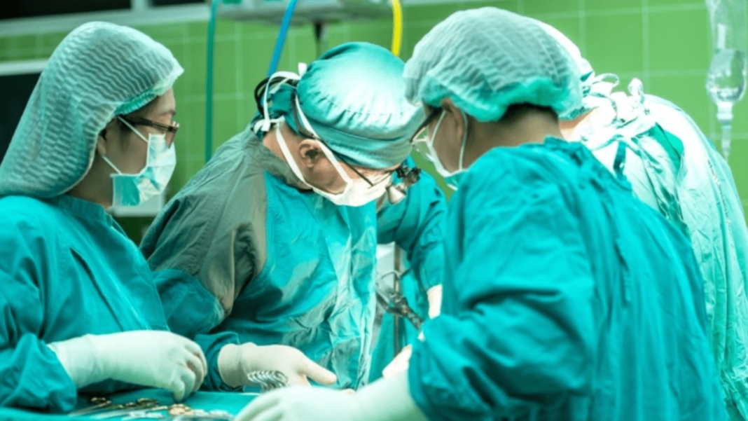 Inovație medicală: Rinichi de porc menține viața unui pacient timp de 271 de zile, stabilind un record care ar putea revoluționa transplanturile