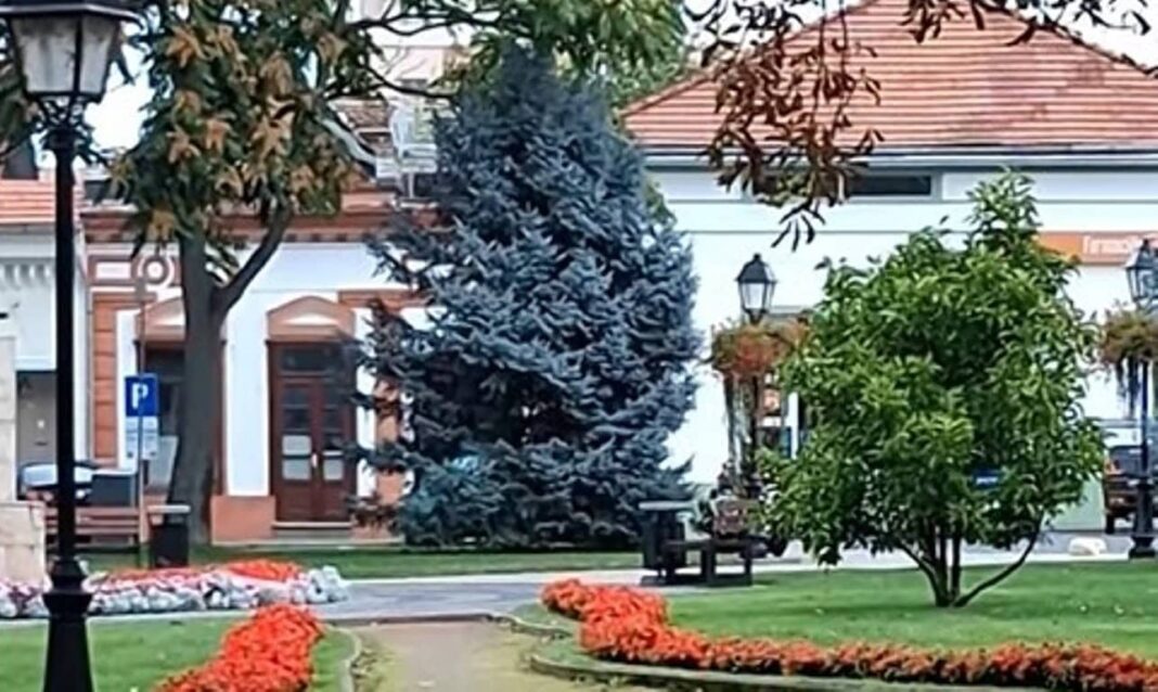 Investiții de 12 milioane lei aprobate la Blaj