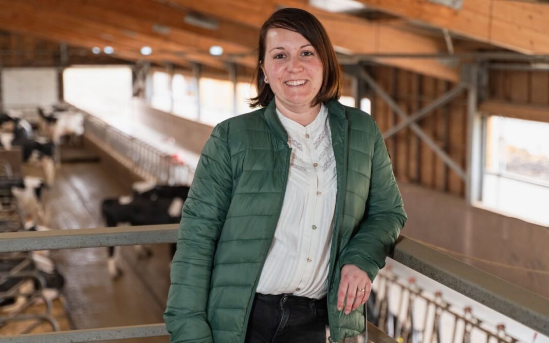 La Tușnad, inovațiile tehnologice transformă activitatea unei ferme de bovine