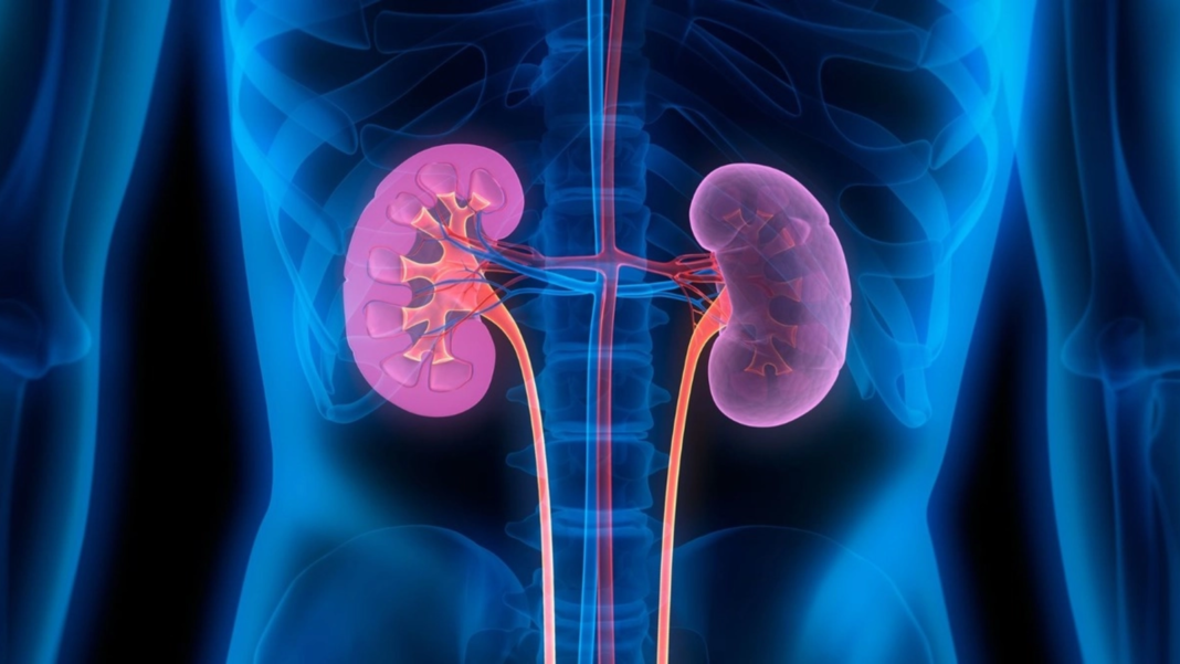 Un american a beneficiat de un transplant de rinichi de porc modificat genetic, evitând dializa timp de nouă luni
