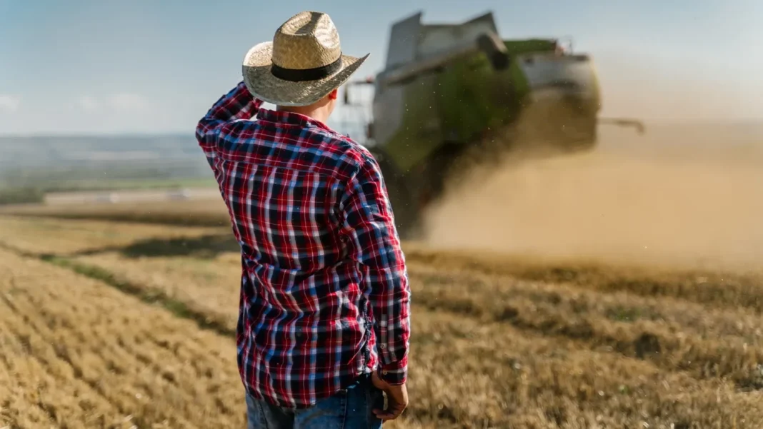 Agricultura României: Risc de Reduceri Masive de Finanțare
