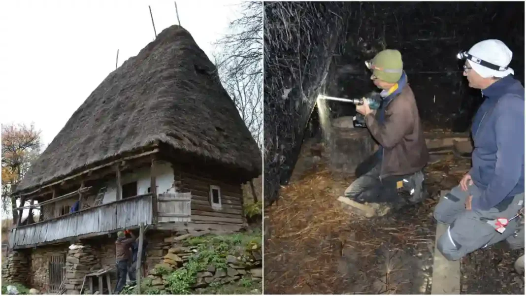 Cercetări Dendrocronologice la Casele Tradiționale din Întregalde