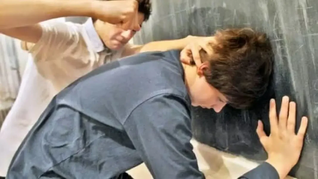 Ministrul Educației propune măsuri după violențe în școli