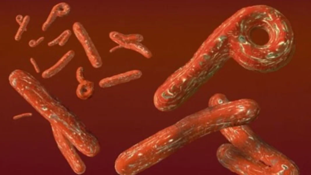 Noi Restricții pentru Călătoriile în SUA din Cauza Ebola